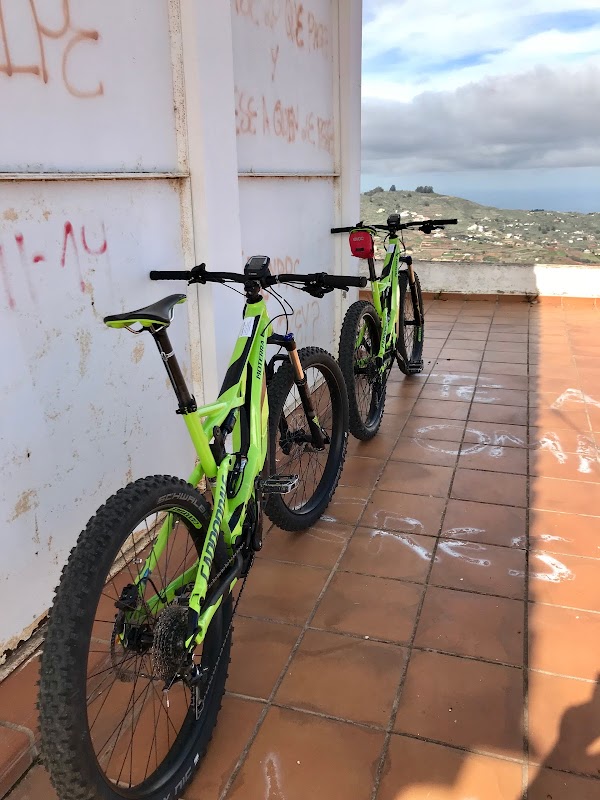 30 Opiniones REALES de Free Motion Bikecenter - Las Palmas (Tienda) en Las  Palmas | GuiaDeMicroempresas.es