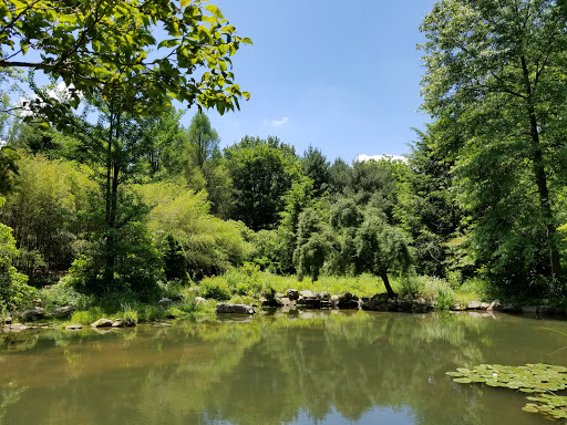 Gift Shop «Stonehedge Gardens», reviews and photos, 51 Dairy Rd, Tamaqua, PA 18252, USA