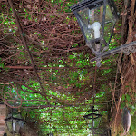 Photo n°1 de l'avis de Melissa.a fait le 29/04/2021 à 14:10 sur le  Hotel-Trattoria Del Pescatore Snc à Passignano sul Trasimeno