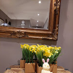 Photo n°5 de l'avis de Simona.e fait le 31/03/2023 à 13:52 sur le  Tree Charme Spagna Boutique Hotel à Rome