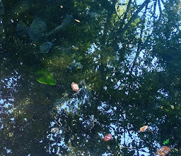 La Chalata Restaurante Campestre photo