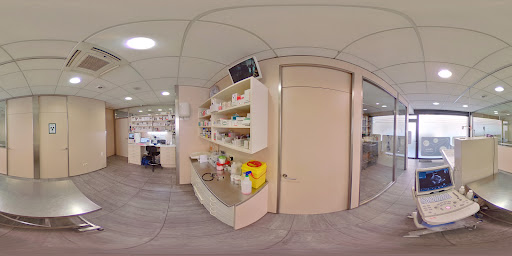 Centro Veterinario La Seu S L P en La Seu d'Urgell