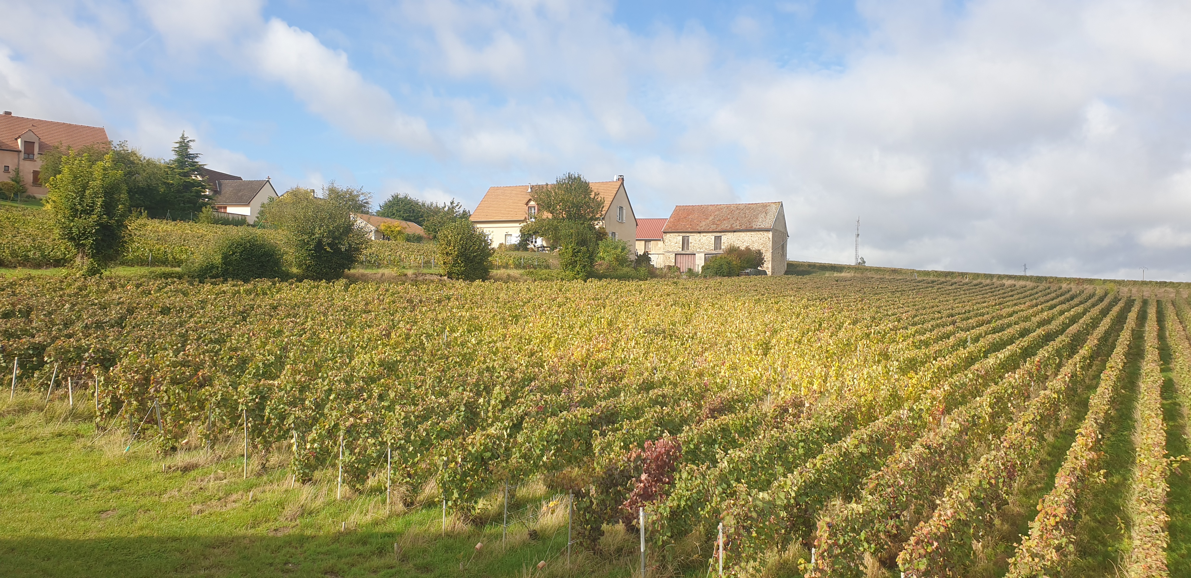 Photo n° 3 de l'avis de Léa.e fait le 03/10/2022 à 13:15