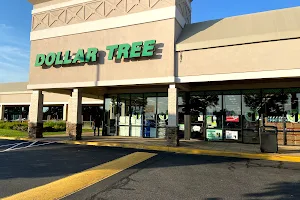 Dollar Tree image