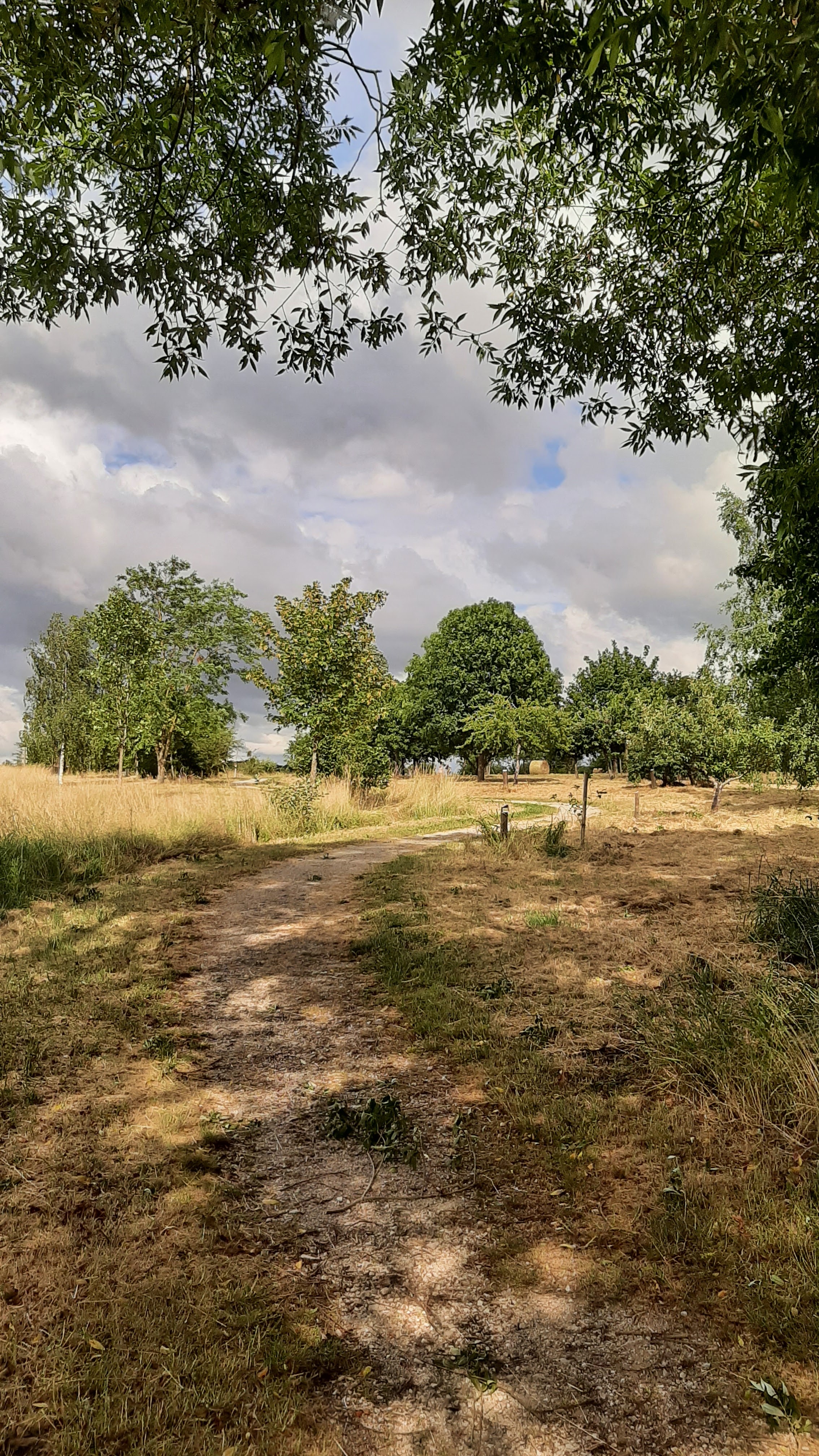 Photo n° 3 de l'avis de Raymond.e fait le 22/06/2023 à 18:25