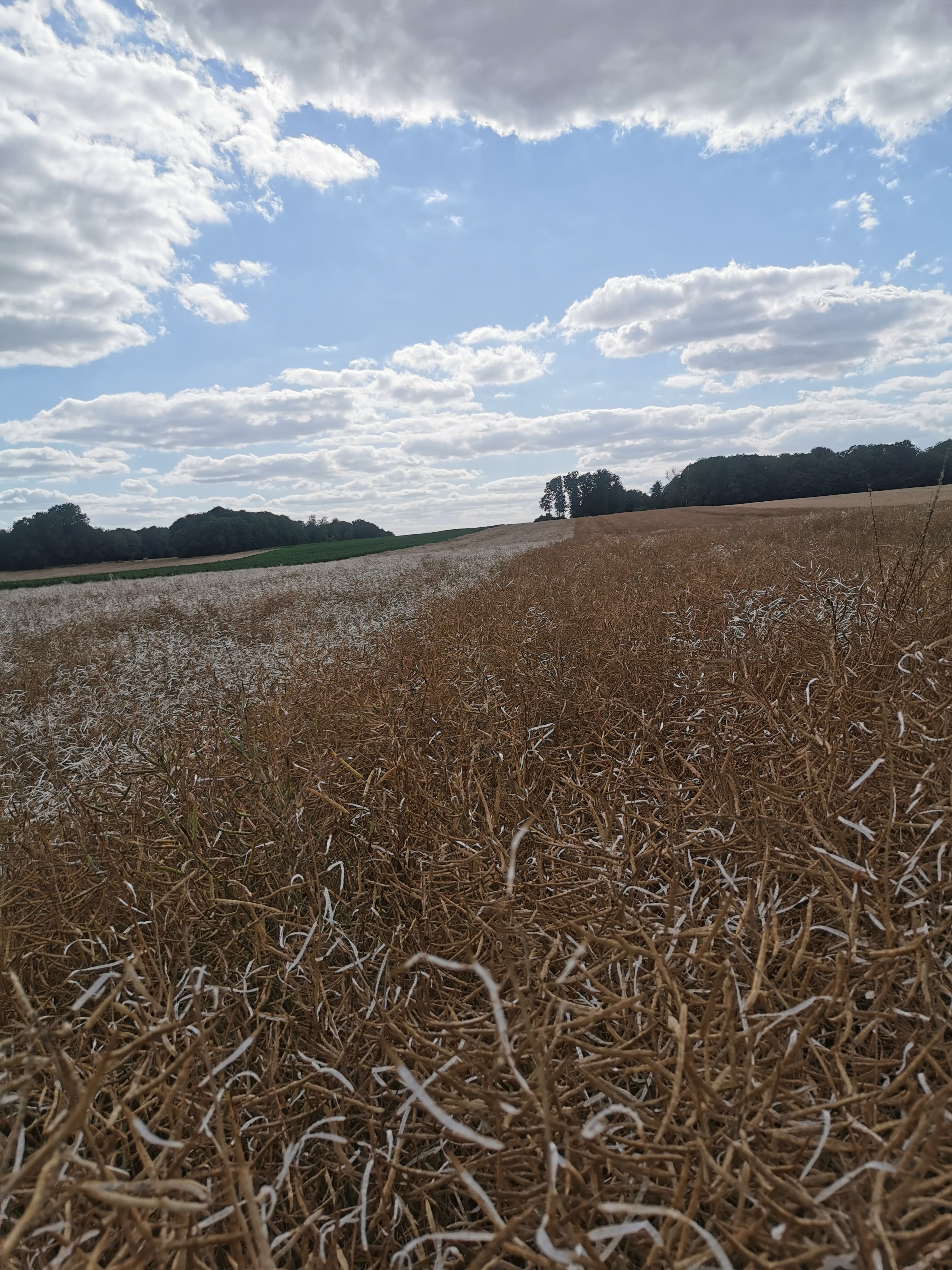 Photo n° 19 de l'avis de DANIEL.A fait le 19/04/2021 à 19:42