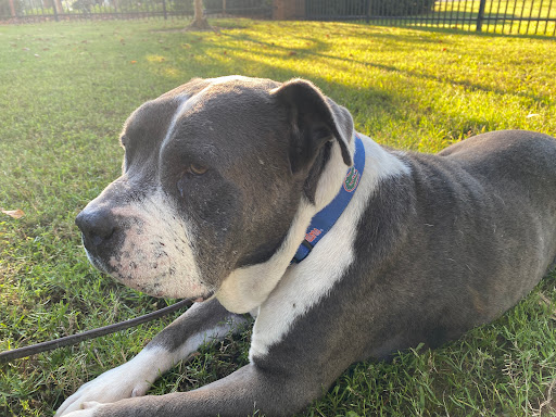 Fitzgerald Animal Hospital image