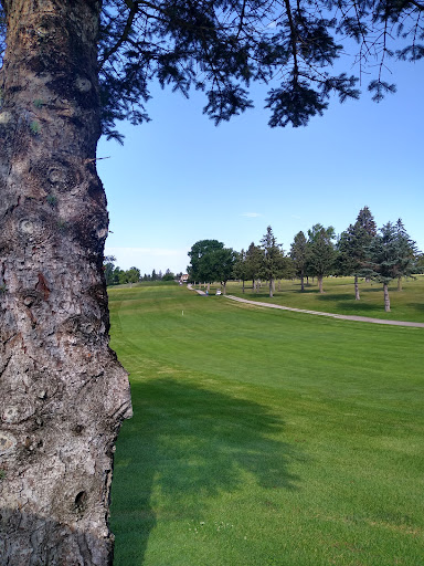 Public Golf Course «Shamrock Golf Course», reviews and photos, 19625 Larkin Rd, Corcoran, MN 55340, USA