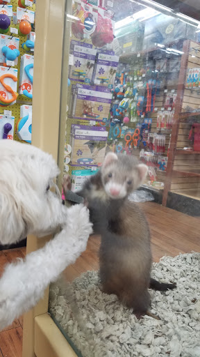 Pet Supply Store «Pet Supermarket», reviews and photos, 2111 N Federal Hwy, Hollywood, FL 33020, USA