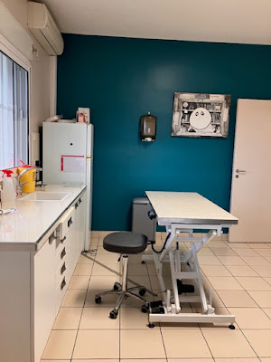 Clinique Vétérinaire Ravine A Marquet à La Possession