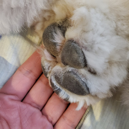 Pet Supply Store «PetSmart», reviews and photos, 2534 South Rd, Poughkeepsie, NY 12601, USA