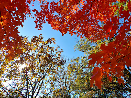 Park «Quincy Park», reviews and photos, 1021 N Quincy St, Arlington, VA 22201, USA