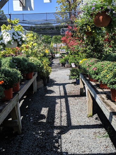 Garden Center «Nalls Produce», reviews and photos, 7310 Beulah St, Alexandria, VA 22315, USA