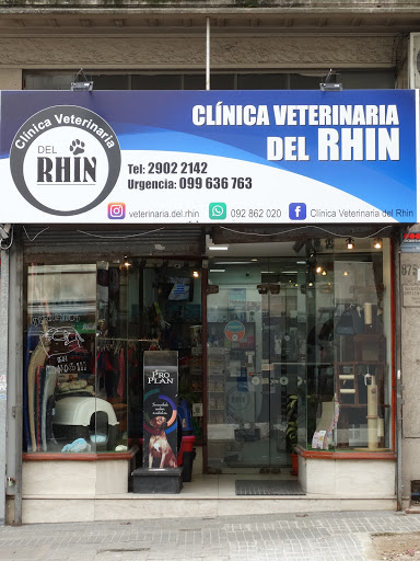 Clinicas veterinarias en Montevideo