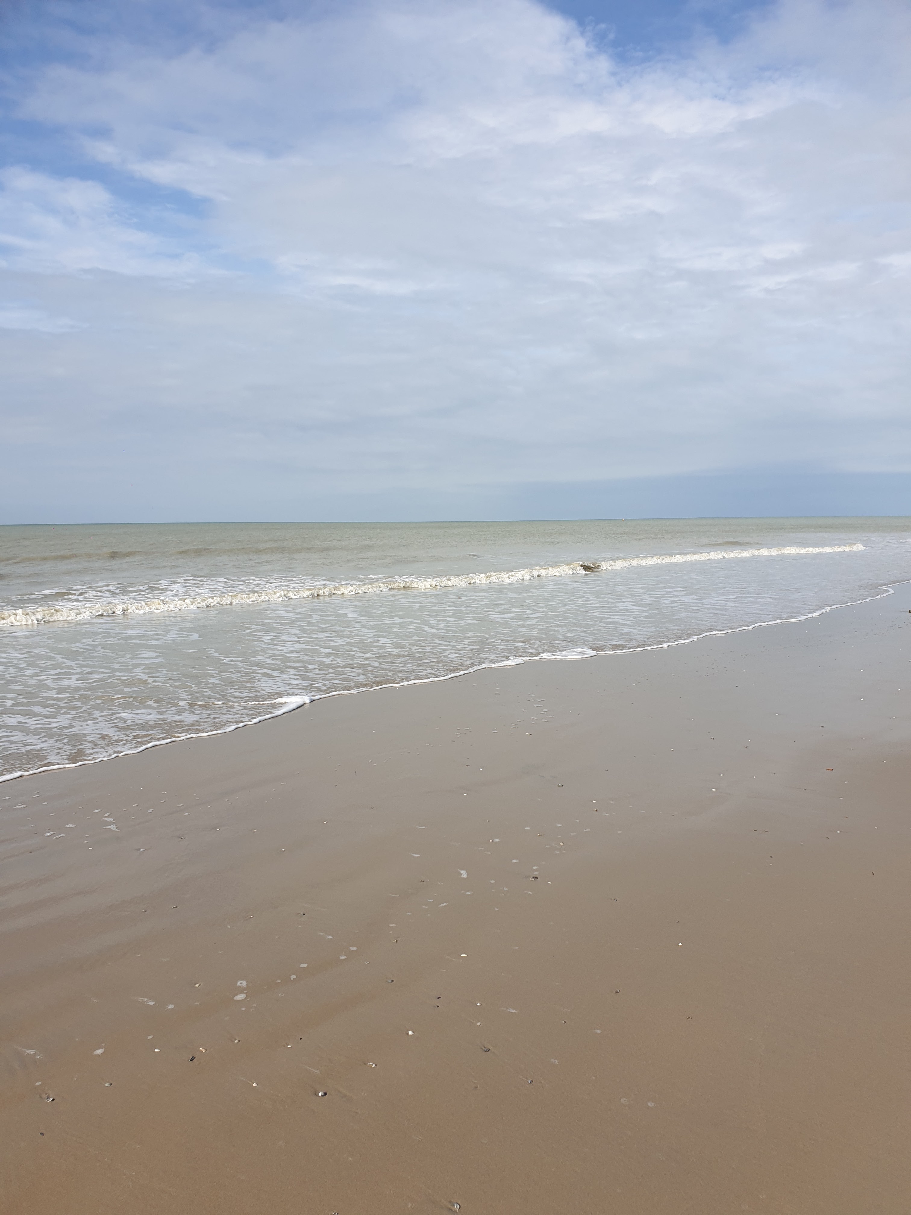 Photo n° 2 de l'avis de Nat. fait le 24/10/2019 à 15:35