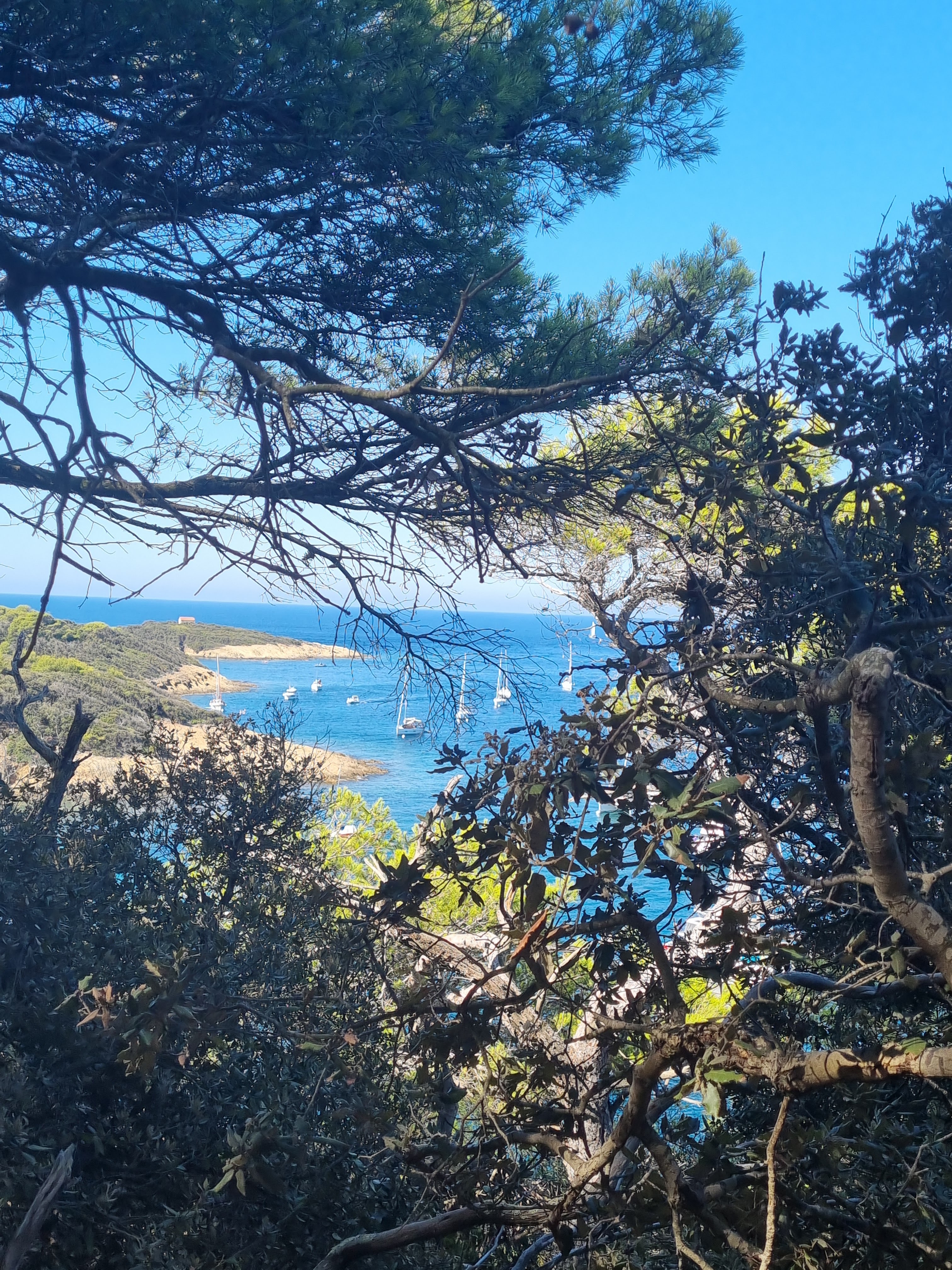 Photo n° 2 de l'avis de veronique.o fait le 16/08/2023 à 19:57