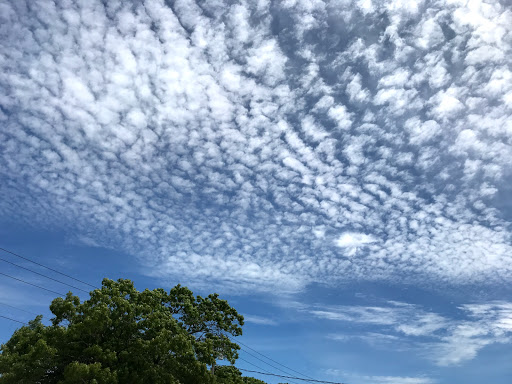 Farm «Lewin Farms», reviews and photos, 812 Sound Ave, Calverton, NY 11933, USA