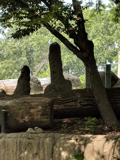 Aquarium «Toledo Zoo Aquarium», reviews and photos, 2700 Broadway St, Toledo, OH 43609, USA