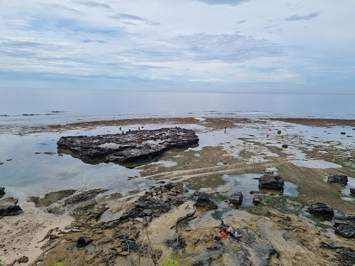 Top 20 cửa hàng akemi Huyện Lý Sơn Quảng Ngãi 2022