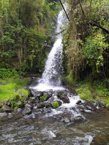 Opiniones de Santa Rita Reserva Ecológica en Quito - Camping