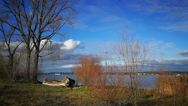 Rezensionen über Parkplatz Mühlenpark in Kreuzlingen - Parkhaus