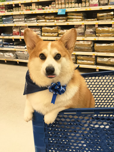Pet Supply Store «PetSmart», reviews and photos, 15042 Summit Ave, Fontana, CA 92336, USA