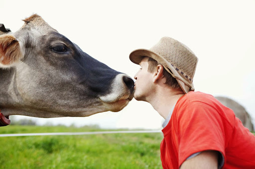 Dairy Farm «Milky Way Farm», reviews and photos, 521 E Uwchlan Ave, Chester Springs, PA 19425, USA