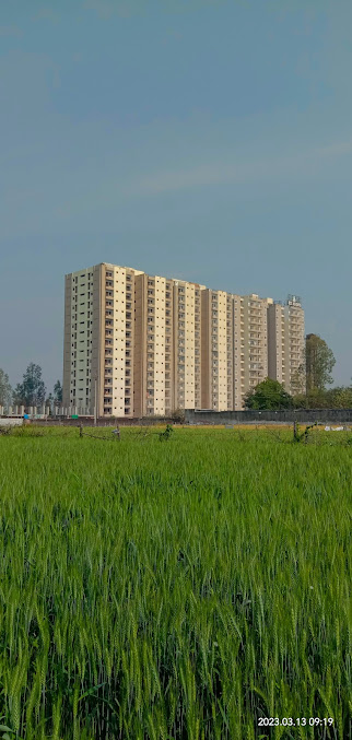 Google Maps image 22