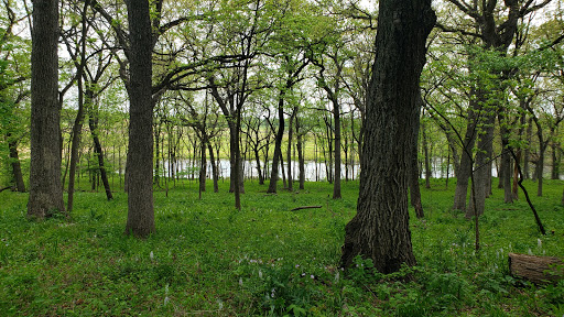 Nature Preserve «Penny Road Pond», reviews and photos, Penny Rd, Barrington, IL 60010, USA