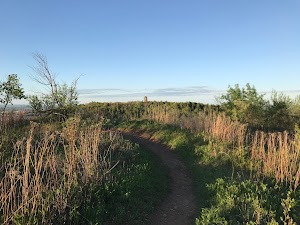 Enger Trail & Observation Hill Trailhead - photo 4
