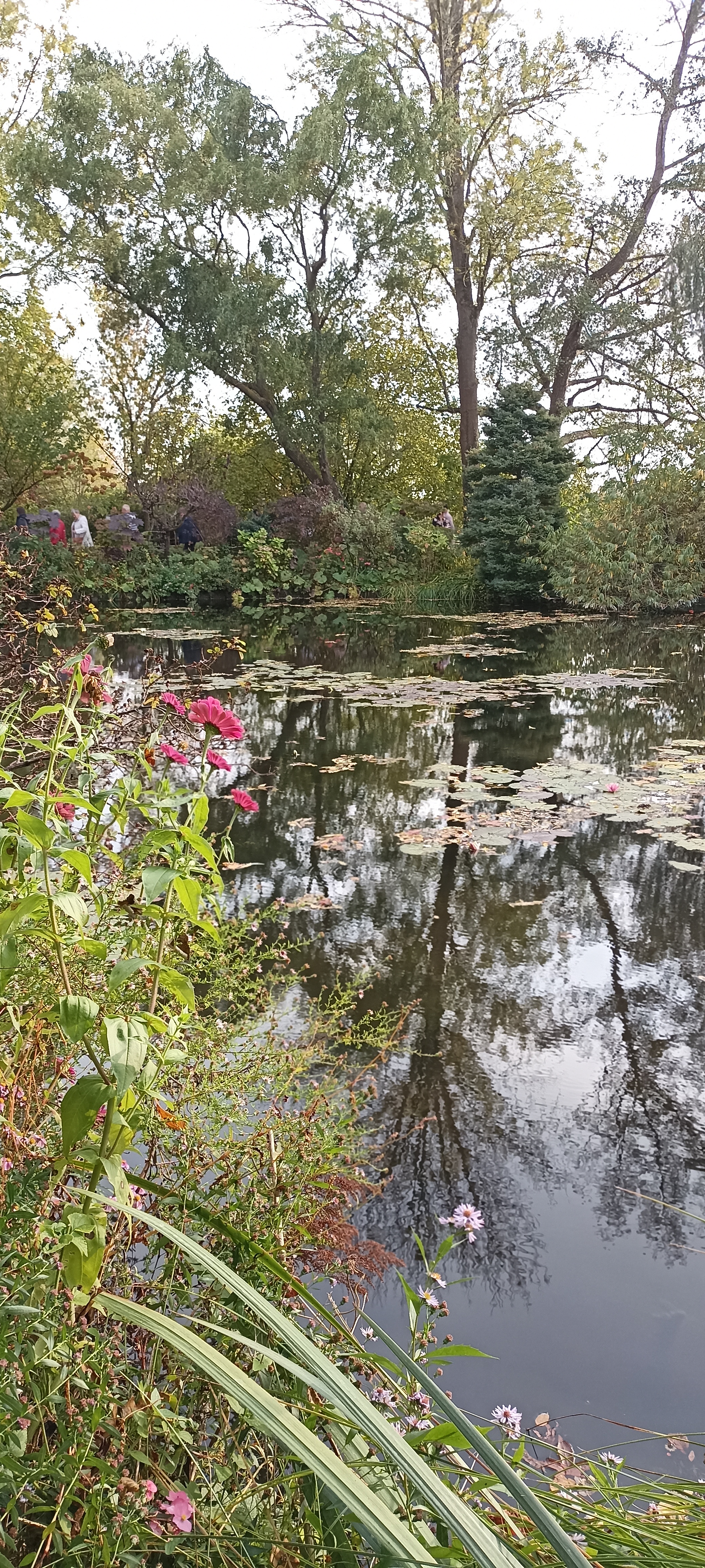 Photo n° 5 de l'avis de Verginia.H fait le 01/11/2022 à 18:08