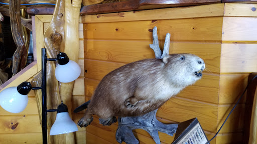 Harley-Davidson Dealer «Zips Mackinaw City H-D», reviews and photos