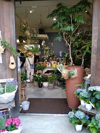 ネーブルグリーン