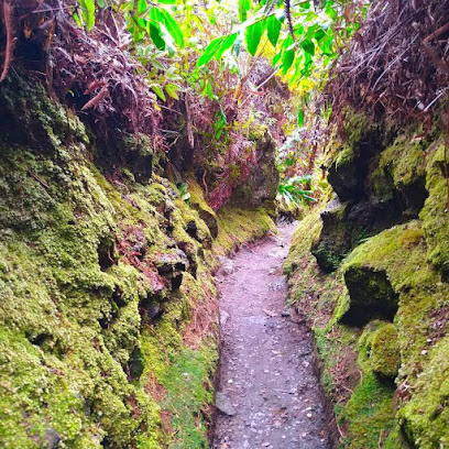 Halemaumau Trail