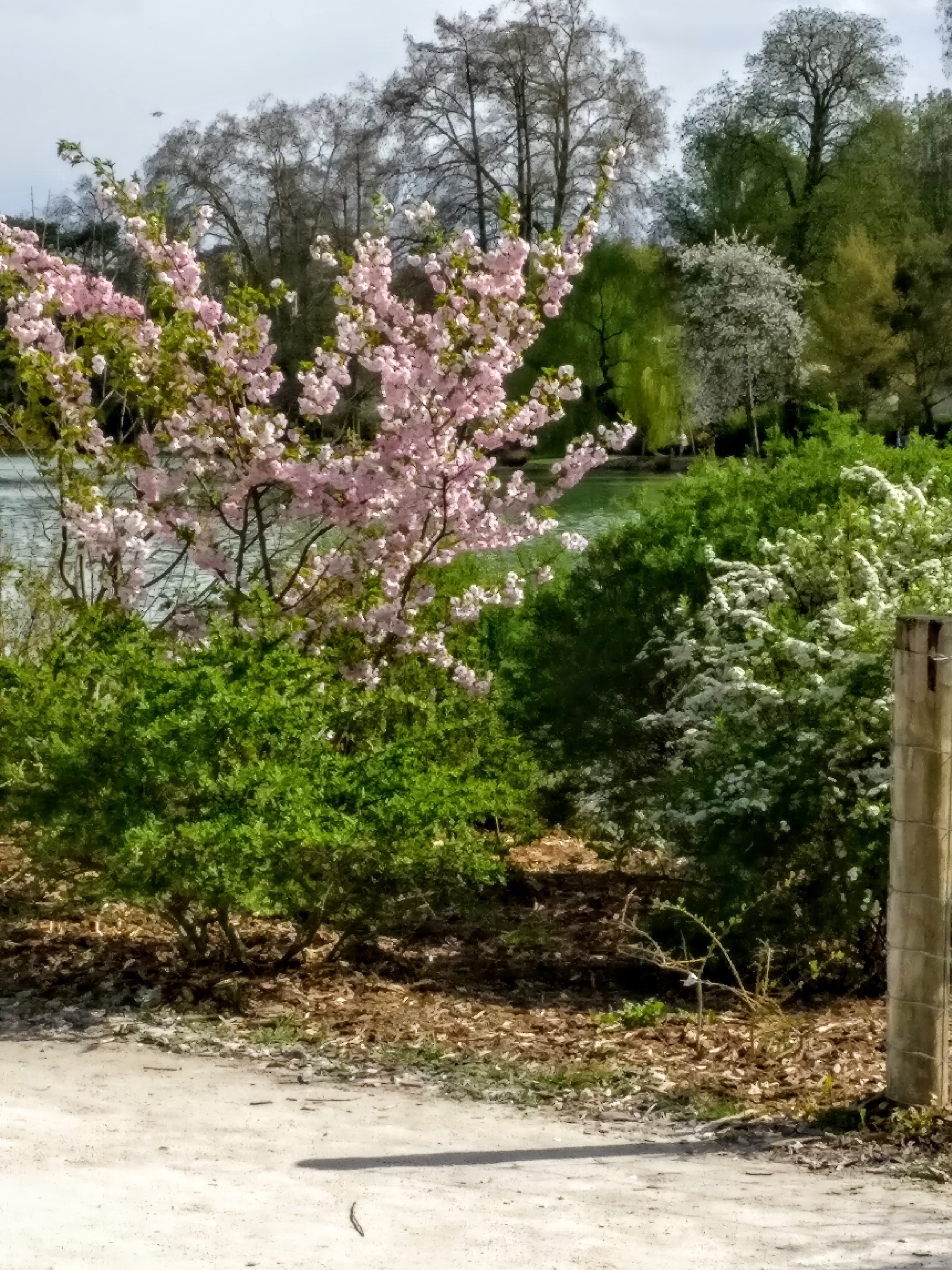 Photo n° 4 de l'avis de Marie-Jacqueline.P fait le 01/05/2018 à 07:27