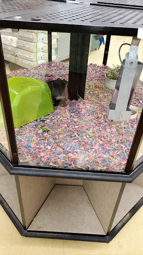 Pet Supply Store «Petco Animal Supplies», reviews and photos, 10 Sylvan St, Peabody, MA 01960, USA