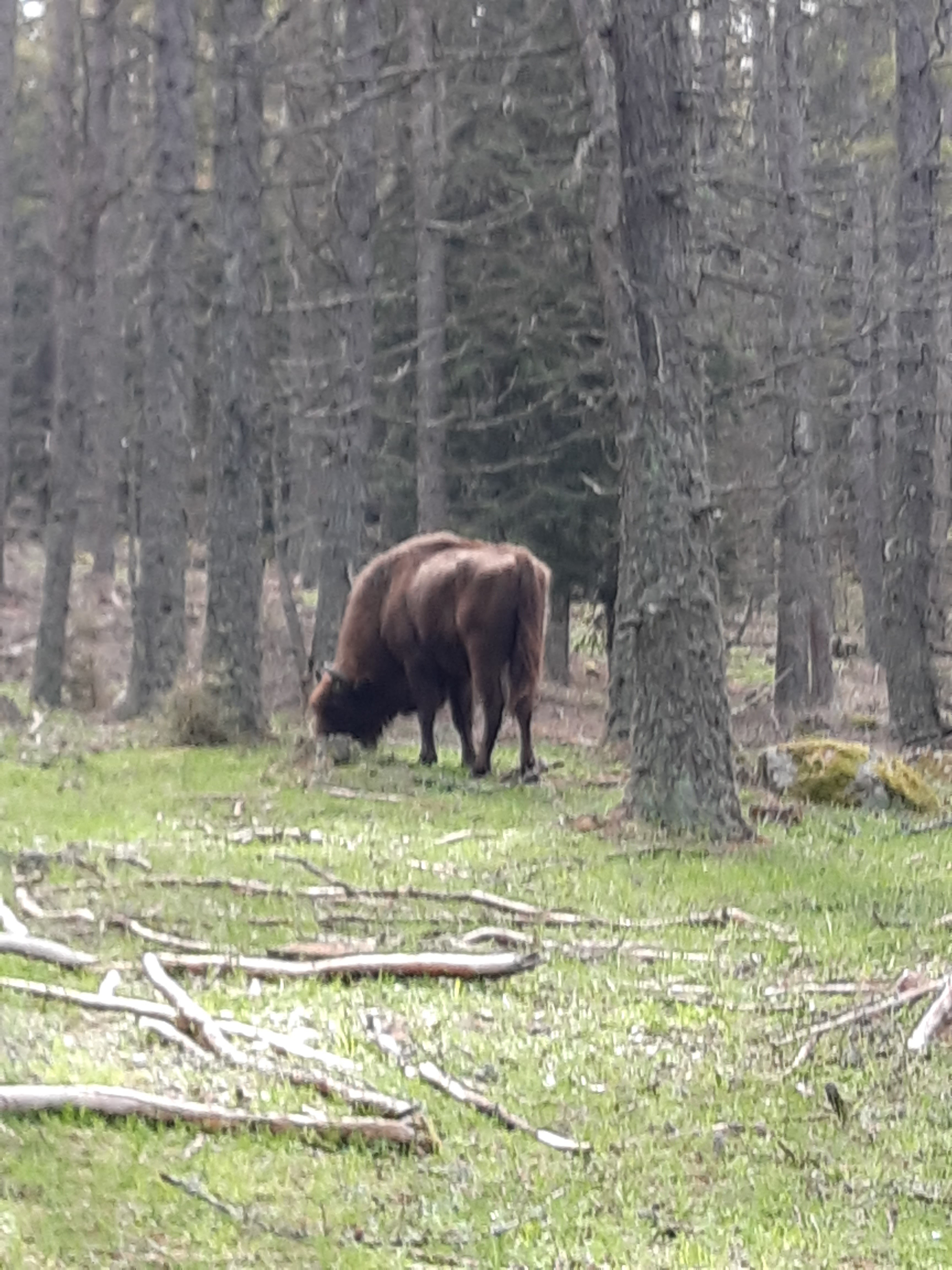 Photo n° 3 de l'avis de canu.a fait le 19/05/2023 à 10:22