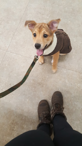 Pet Supply Store «Petco Animal Supplies», reviews and photos, 1215-1309 NJ-33 #1, Hamilton Township, NJ 08690, USA