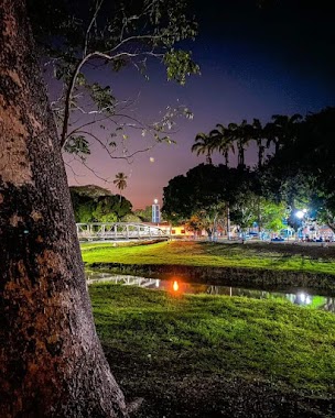 Puente De Libertad