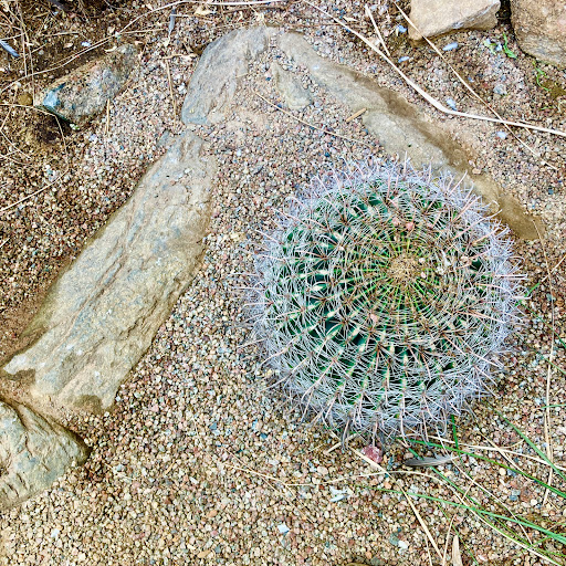 Zoo «Desert Dome & Kingdoms of the Night», reviews and photos, 3701 S 10th St, Omaha, NE 68108, USA