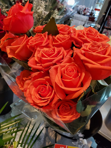 Grocery Store «H-E-B Grocery», reviews and photos, 97 Oyster Creek Dr, Lake Jackson, TX 77566‑4622, USA