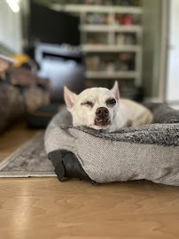 Press Paws LLC - Photo 5 - Car repair in , Lakewood