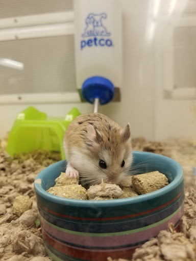 Pet Supply Store «Petco Animal Supplies», reviews and photos, 860 Broadway, New York, NY 10003, USA