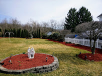 MC Lawn and Tree Service LLC - Photo 3 - Car repair in , Scranton