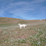 Photo n°2 de l'avis de Debby. fait le 25/05/2021 à 11:49 sur le  Ristorobie à Cusio