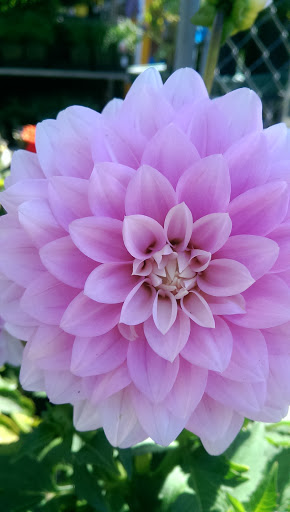 Hardware Store «McLendon Hardware», reviews and photos, 10210 16th Ave SW, Seattle, WA 98146, USA