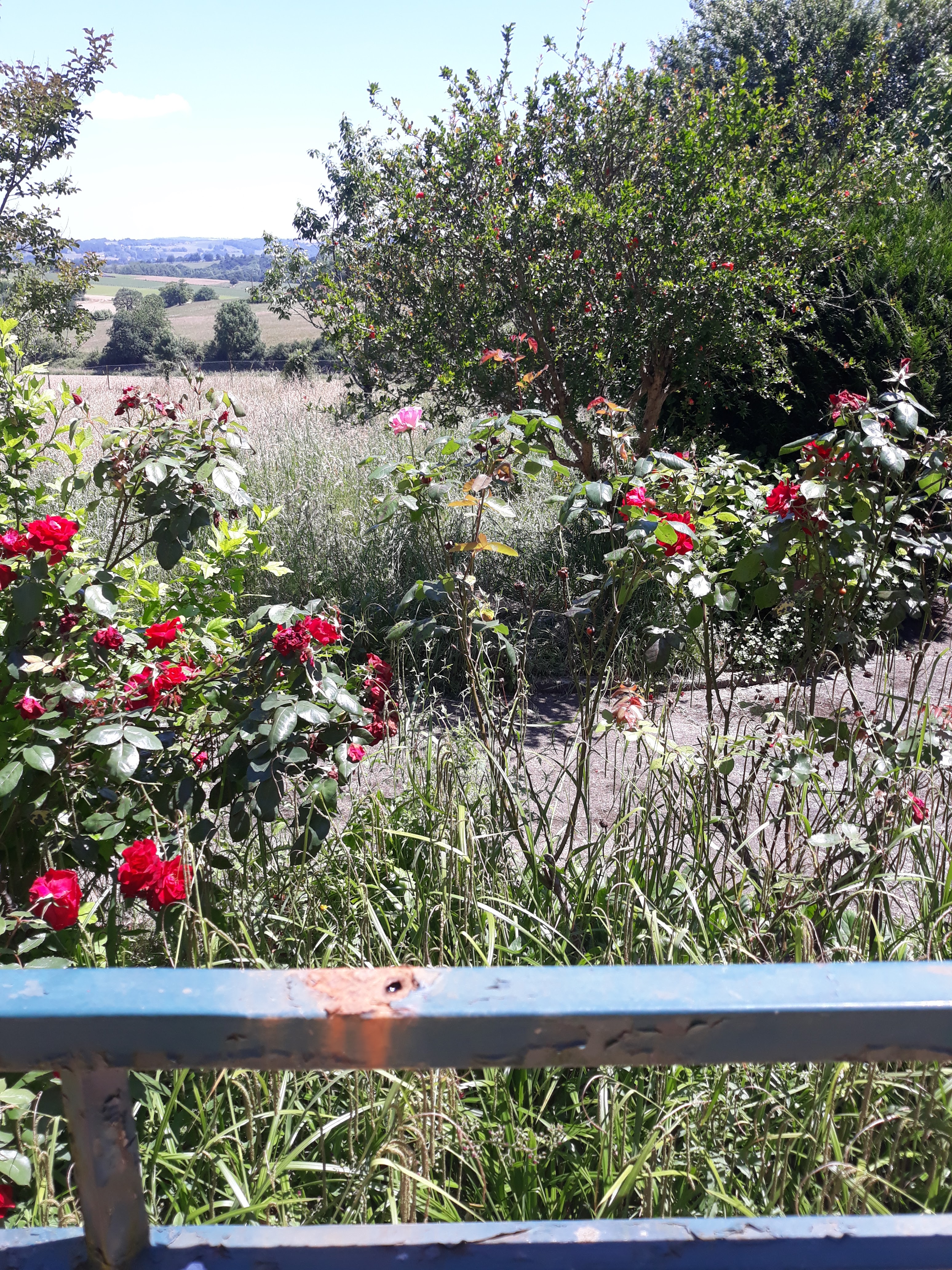 Photo n° 1 de l'avis de Elisab.t fait le 10/06/2023 à 20:32