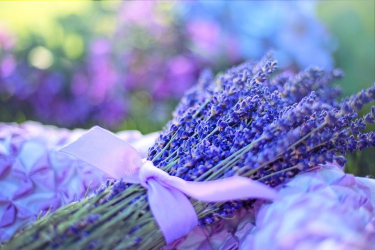 Lavender Suite Massage and Facial Spa 32073