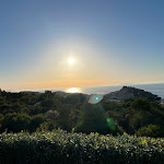 Photo n°1 de l'avis de Robert.a fait le 21/08/2023 à 22:50 sur le  Baga Baga à Castelsardo