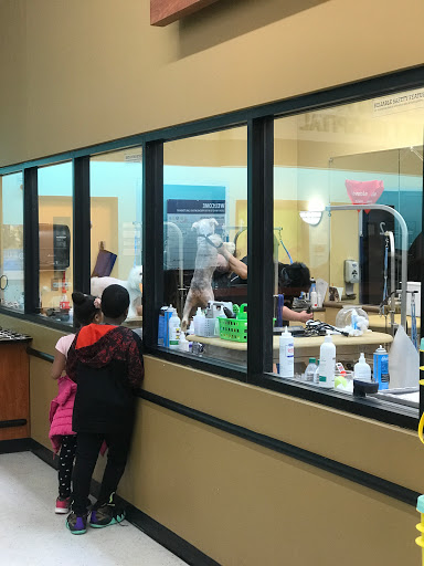 Pet Supply Store «PetSmart», reviews and photos, 5 Mystic View Rd, Everett, MA 02149, USA